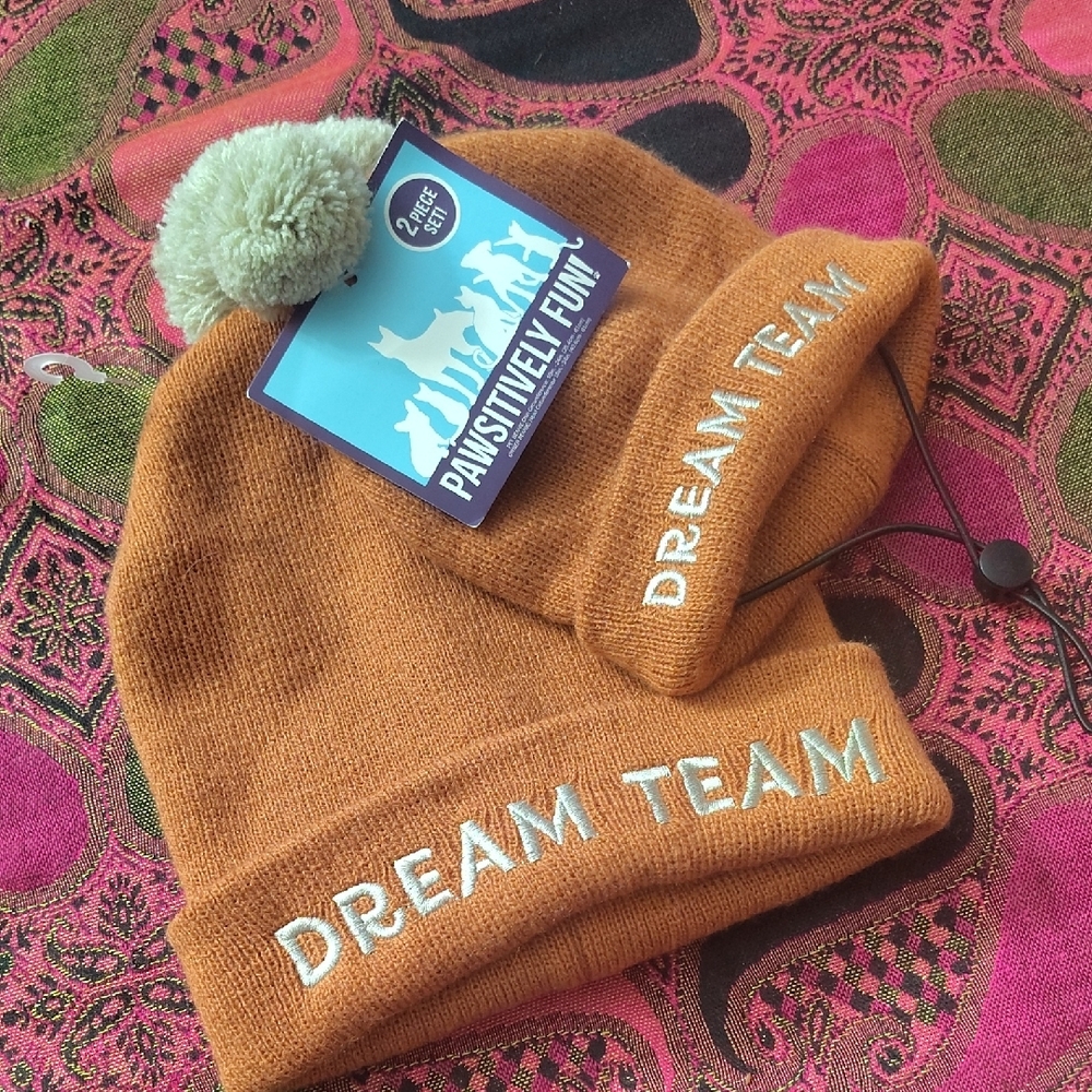 Dream Team PAWSUTIVELY FUN!!! OWNER/PET Beanie Set - Brown